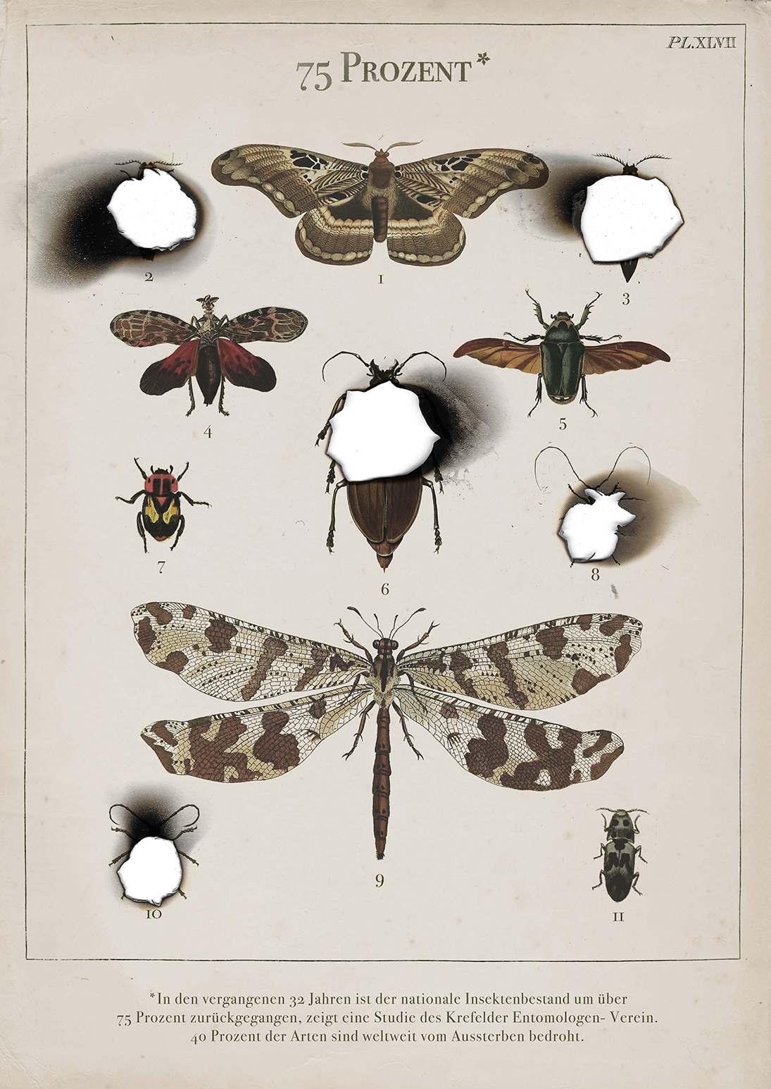 anfachen_awardvi_alena_schmidtbauer_